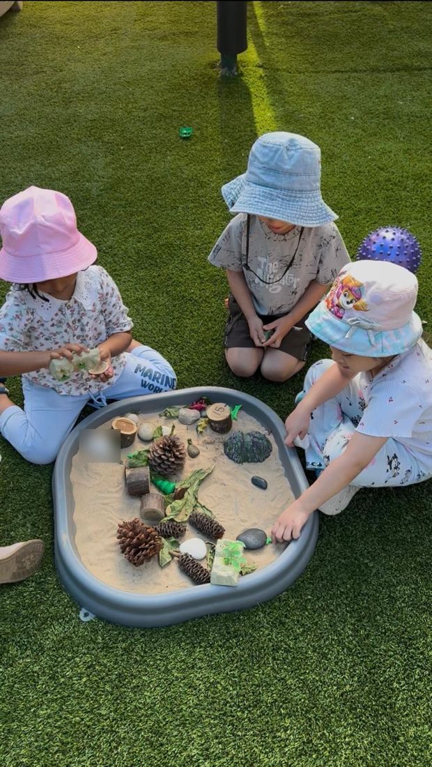 Exploring natural materials